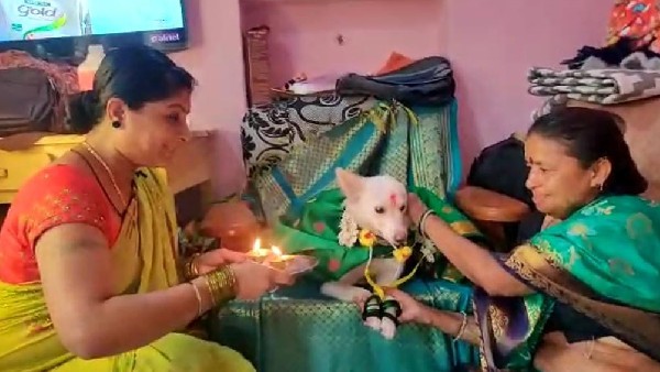ಎಲ್ಲರ ಗಮನ ಸೆಳೆದಿದೆ ಸೀಮಂತ ಕಾರ್ಯಕ್ರಮ