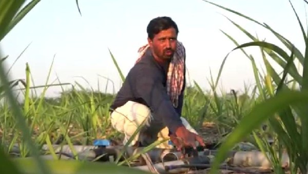 ಅಕ್ಕಪಕ್ಕದ ಗ್ರಾಮಗಳ ರೈತರಿಗೂ ಆಕರ್ಷಣೆ 