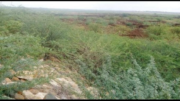 ಎರಡು ಟಿಎಂಸಿಗೆ ಕಡಿತಗೊಳಿಸಿ ಜಿಲ್ಲೆಗೆ ದ್ರೋಹ ಬಗೆದ ಕಾಂಗ್ರೆಸ್ 