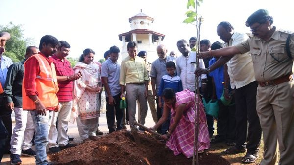 ಉಚಿತವಾಗಿ ಸಸಿಗಳ ವಿತರಣೆ 