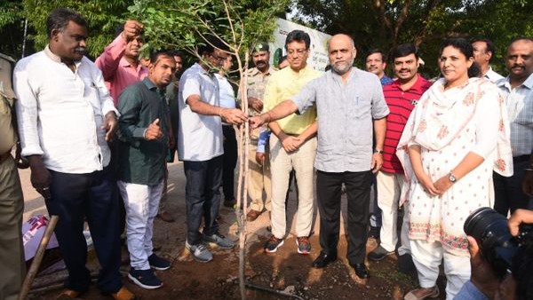 ಉಚಿತವಾಗಿ ಸಸಿಗಳ ವಿತರಣೆ 