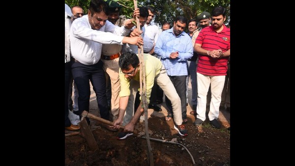 ಸಸ್ಯಕ್ಷೇತ್ರಗಳ ವಿವರ 