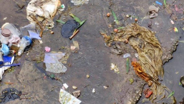 3 ವರ್ಷಗಳ ಹಿಂದೆ ಅಬಾರ್ಷನ್ ಮಾಡಿದ ಭ್ರೂಣಗಳು 3 ವರ್ಷಗಳ ಹಿಂದೆ ಅಬಾರ್ಷನ್ ಮಾಡಿದ ಭ್ರೂಣಗಳು