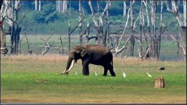 ಮತ್ತೊಬ್ಬ ಭೋಗೆಶ್ವರ ಸಿಗುತ್ತಾ 