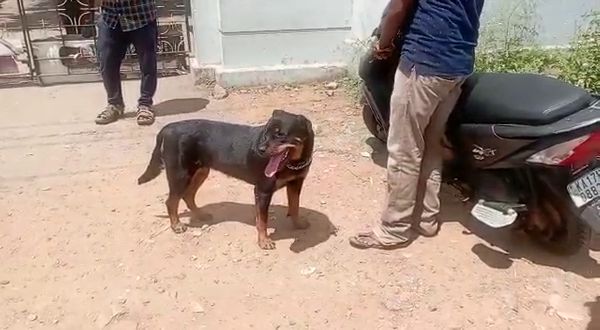 ಡಯಾನ 777 ಹೆಸರಿಡಲು ನಿರ್ಧಾರ ಡಯಾನ 777 ಹೆಸರಿಡಲು ನಿರ್ಧಾರ