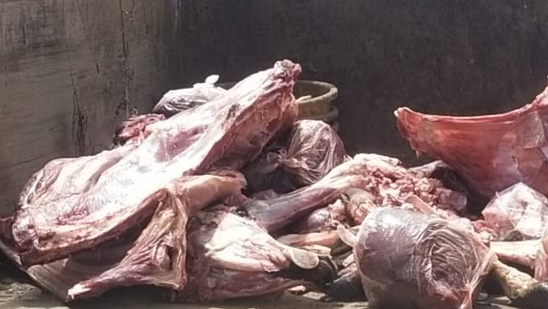  ಶೆಡ್ ಮಾಲೀಕ ಸೇರಿದಂತೆ ಇತರರ ಮೇಲೆ ಪ್ರಕರಣ ದಾಖಲು