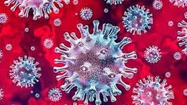 ದೆಹಲಿಯಲ್ಲಿ ಕೊರೊನಾ ಕೇಸ್ ಇಳಿಕೆ 