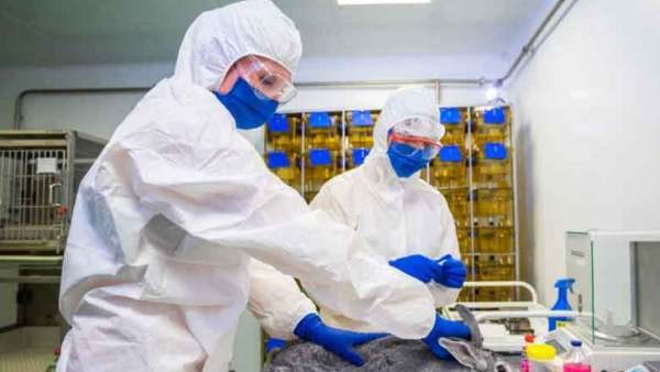 Ancovax: Indias first COVID vaccine for animals 