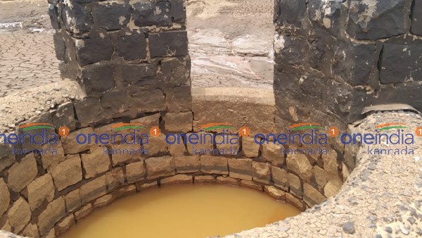 ಹಿರಿ ಜೀವಿಗಳು ಭಾವುಕ 