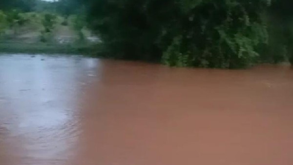 Davangere: Villagers Rescue A Woman From Being Washed Away in Overflowing River Water