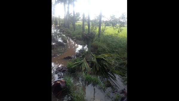 ರಸಗೊಬ್ಬರಗಳಿಗೆ ಸರ್ಕಾರ ನಿಯೋಜಿಸಿದ ದರಕ್ಕಿಂತ ಜಾಸ್ತಿ ಮಾಡಿದರೆ ಪರವಾನಿಗೆ ರದ್ದು 