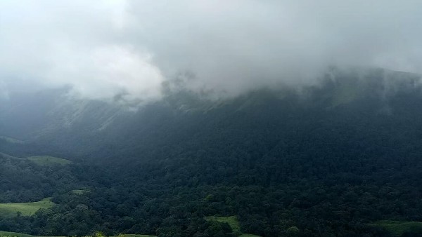  ದಿನಂಪ್ರತಿ ಪ್ರವಾಸಿಗರ ಭೇಟಿ