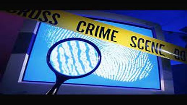 ಯಾವ ವಿಭಾಗದಲ್ಲಿ ಎಷ್ಟು ಪ್ರಕರಣ 