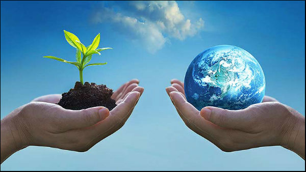 World Environment Day; Bbmp Will Distrubute the Saplings for Free 