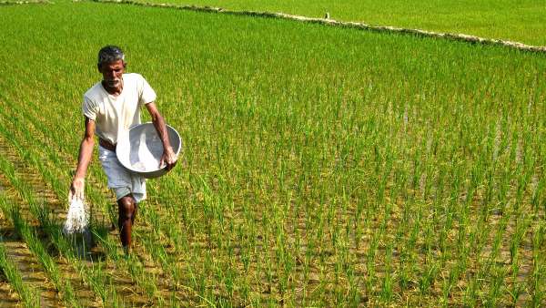 Govt launches Single Window Registration Software for Agriculture Schemes