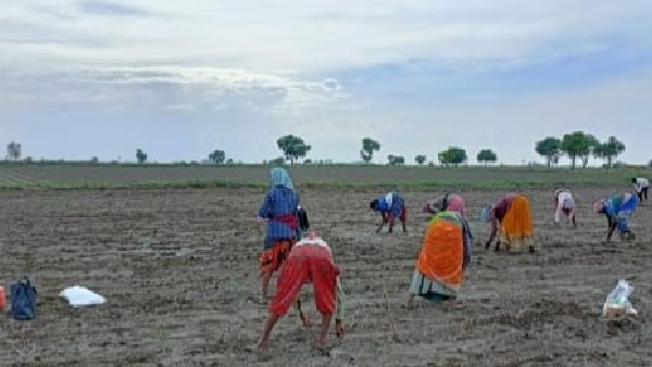  ತಾಪಮಾನದಲ್ಲಿ ಏರಿಕೆ 