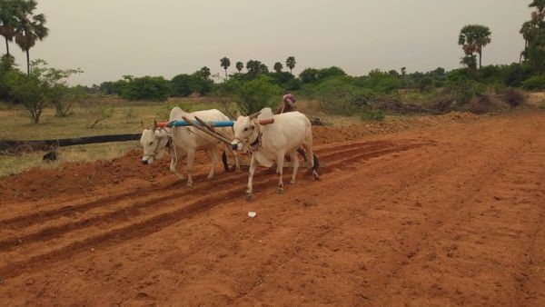  ಮೋಡ ನಂಬಿ ಬಿತ್ತನೆ ಮಾಡಿ ಮೋಸ ಹೋದ ರೈತ 