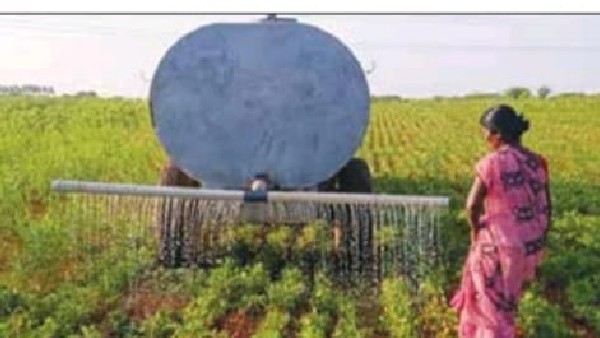  1.38 ಲಕ್ಷ ಹೆಕ್ಟೇರ್‌ನಲ್ಲಿ 22 ಸಾವಿರ ಹೆಕ್ಟೇರ್‌ಗಳಲ್ಲಿ ಮಾತ್ರ ಬಿತ್ತನೆ 