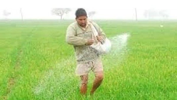 ರಷ್ಯಾದ ಫೋಸ್ ಆಗ್ರೊದಿಂದ ಗುತ್ತಿಗೆ ರಷ್ಯಾದ ಫೋಸ್ ಆಗ್ರೊದಿಂದ ಗುತ್ತಿಗೆ