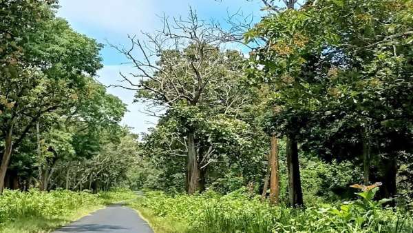 122 ಗ್ರಾಮಗಳಿವೆ