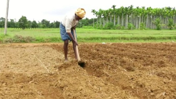 ರಸಗೊಬ್ಬರ, ಬಿತ್ತನೆ ಬೀಜ ಸಿಗದೆ ತೊಂದರೆ ಅನುಭವಿಸುತ್ತಿರುವ ರೈತರು