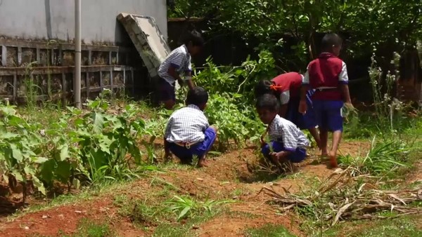 14 ವರ್ಷಗಳಿಂದಲೂ ಪರಿಸರ ಪಾಠ 