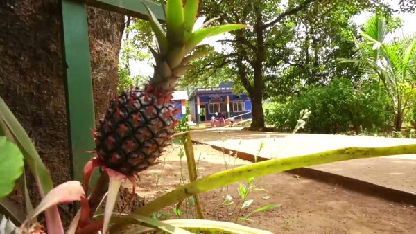 ಖಾಯಂ ಶಿಕ್ಷಕರಿಲ್ಲ 