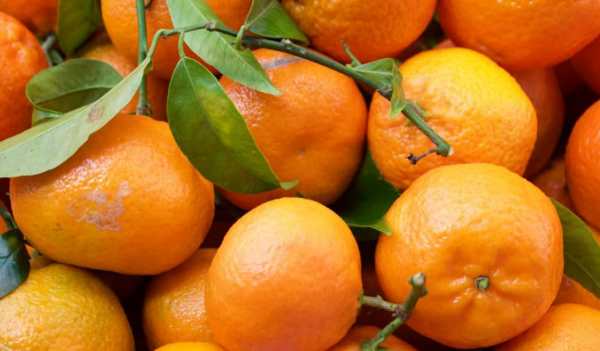 ಮಹಾರಾಷ್ಟ್ರದಲ್ಲಿ 