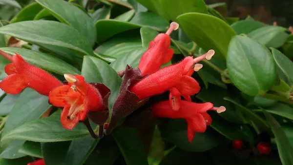 ವಿಜ್ಞಾನಿಗಳು ಹೇಳುವುದೇನು? 