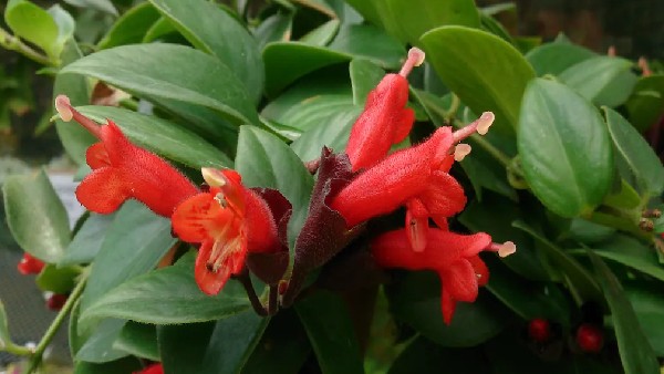 ಕಾರಣವೇನು ಗೊತ್ತಾ? 