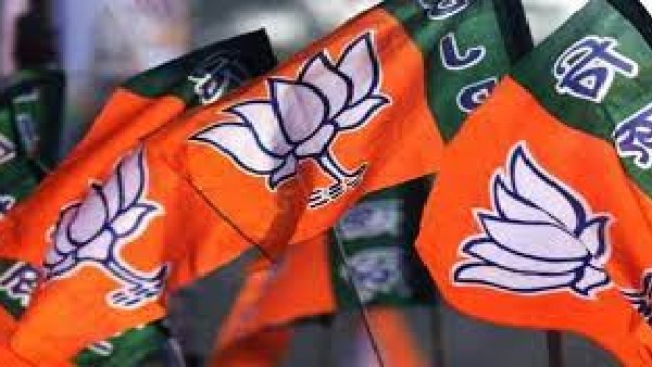 BJP wins four council seats: gift to Modi 