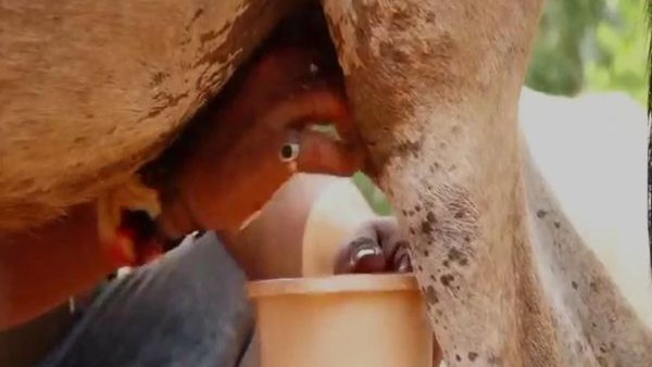 ಮಧುಮೇಹ, ರಕ್ತಹೀನತೆ, ಅಲರ್ಜಿ ಇತ್ಯಾದಿ ಚರ್ಮ ರೋಗಗಳಿಗೂ ರಾಮಬಾಣ