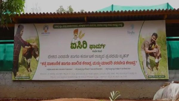 ಕತ್ತೆ ಮಾಂಸಕ್ಕಾಗಿ ಕಳ್ಳಸಾಗಣೆಗೆ ಕ್ರಮ ಅಗತ್ಯ