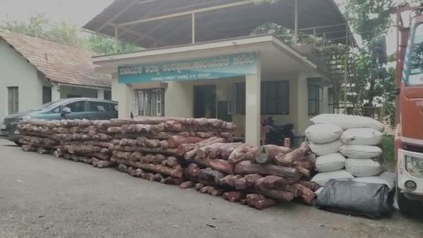 Four Crore Rupees value Red Sandalwood Seized In Mangaluru 