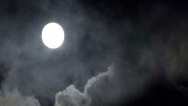 ಪ್ರಾಣಿ ಪಕ್ಷಿಗಳಿಗೆ ಆಹಾರ 