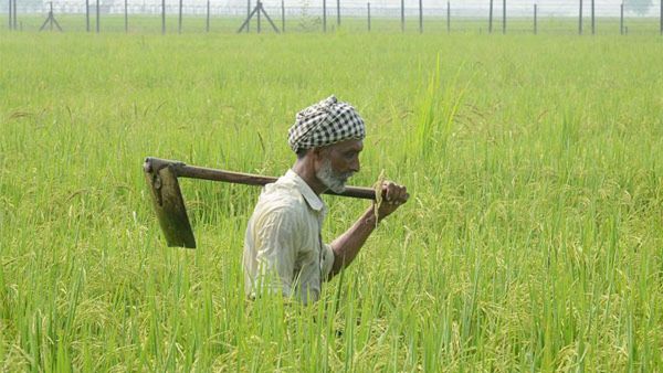 3 ವರ್ಷದಲ್ಲೇ ಗರಿಷ್ಠ ಪ್ರಮಾಣದಲ್ಲಿ ಕನಿಷ್ಠ ಬೆಂಬಲ ಬೆಲೆ ಏರಿಕೆ 3 ವರ್ಷದಲ್ಲೇ ಗರಿಷ್ಠ ಪ್ರಮಾಣದಲ್ಲಿ ಕನಿಷ್ಠ ಬೆಂಬಲ ಬೆಲೆ ಏರಿಕೆ