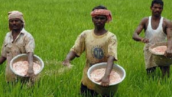 ಯಾವೆಲ್ಲ ಧಾನ್ಯಗಳಿಗೆ ಕನಿಷ್ಠ ಬೆಂಬಲ ಬೆಲೆ ಹೆಚ್ಚಳ ಯಾವೆಲ್ಲ ಧಾನ್ಯಗಳಿಗೆ ಕನಿಷ್ಠ ಬೆಂಬಲ ಬೆಲೆ ಹೆಚ್ಚಳ