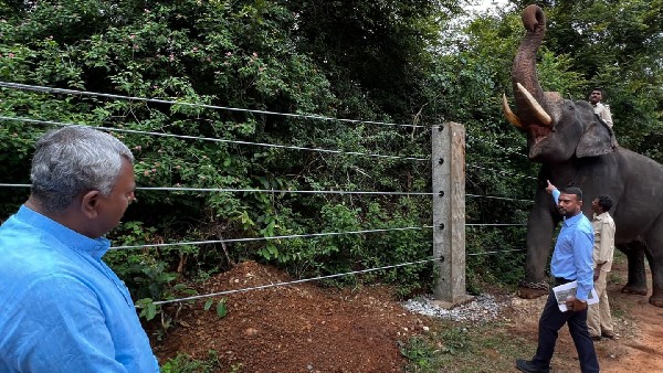 Mysuru: Steel wire rope barricade in nagarahole: Minister ST Somashekhar review Mysuru: Steel wire rope barricade in nagarahole: Minister ST Somashekhar review