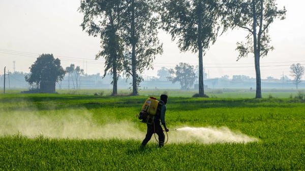 ಕೃಷಿಯಲ್ಲಿ ರಾಸಾಯನಿಕ ಬಳಕೆ ತಪ್ಪಿಸಬೇಕು 