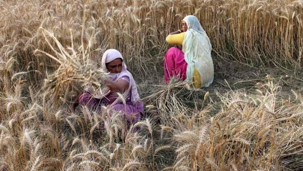 ಸಾವಯವ ಕೃಷಿಗೆ ಪ್ರೋತ್ಸಾಹ ಅತ್ಯಗತ್ಯ