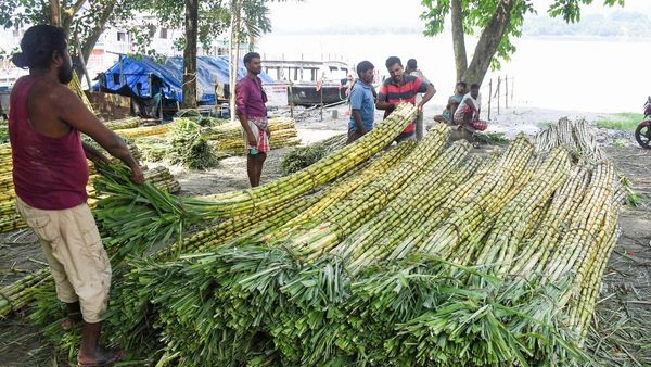 ಸಕ್ಕರೆ ಉತ್ಪಾದಿಸಲು 120 ಕಾರ್ಖಾನೆಗಳು ಕಾರ್ಯಾಚರಣೆ