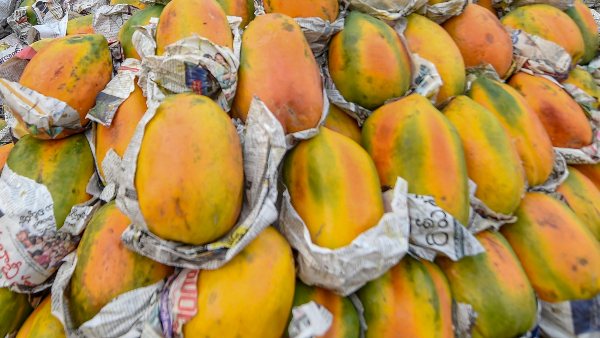 ಯಾವ, ಯಾವ ಬೆಳೆಗಳು ಒಳಪಡುತ್ತದೆ