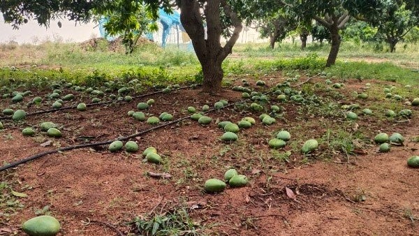  ಗ್ರಾಮಲೆಕ್ಕಾಧಿಕಾರಿ ಭೇಟಿ 