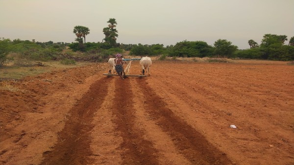 25 ಲಕ್ಷ ಅನುದಾನ ನೀಡಲು ಒತ್ತಾಯ 25 ಲಕ್ಷ ಅನುದಾನ ನೀಡಲು ಒತ್ತಾಯ