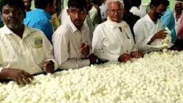  ಗಂಟು ರೋಗ ನಿಯಂತ್ರಣಕ್ಕೆ ಆಗ್ರಹ