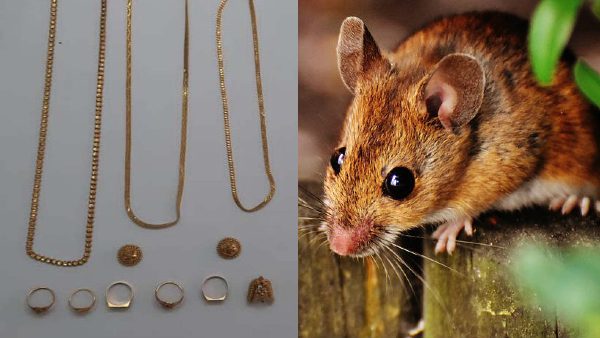 ಮಾರ್ಗ ಮದ್ಯೆ ಭಿಕ್ಷುಕ ಭೇಟಿ 