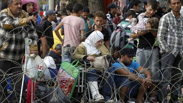 ನಿರಾಶ್ರಿತರ ಮಾನಸಿಕ ಸ್ಥೈರ್ಯಕ್ಕೆ ಪ್ರಶಂಸೆ 