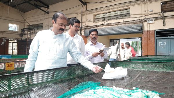 ಪ್ರತಿ ಕೆಜಿಗೆ 200 ರೂ ಕುಸಿತ ಪ್ರತಿ ಕೆಜಿಗೆ 200 ರೂ ಕುಸಿತ