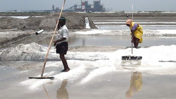 ಉಪ್ಪನ್ನು ಬ್ರಿಟಿಷರು ಗಣಿಗಾರಿಕೆ ಉತ್ಪನ್ನವೆಂದು ತಿಳಿದಿದ್ದರು 