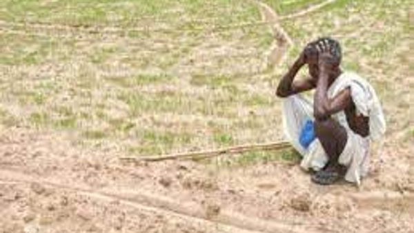 ಕಡಿಮೆಯಾದ ಮಳೆ ಪ್ರಮಾಣ 